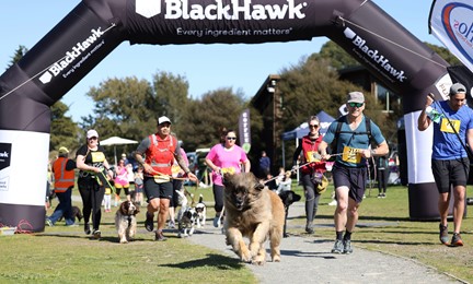 Black Hawk sponsors 4 Paws Marathon preview image