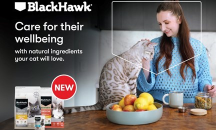 Introducing the All New Black Hawk Cat Food Range preview image