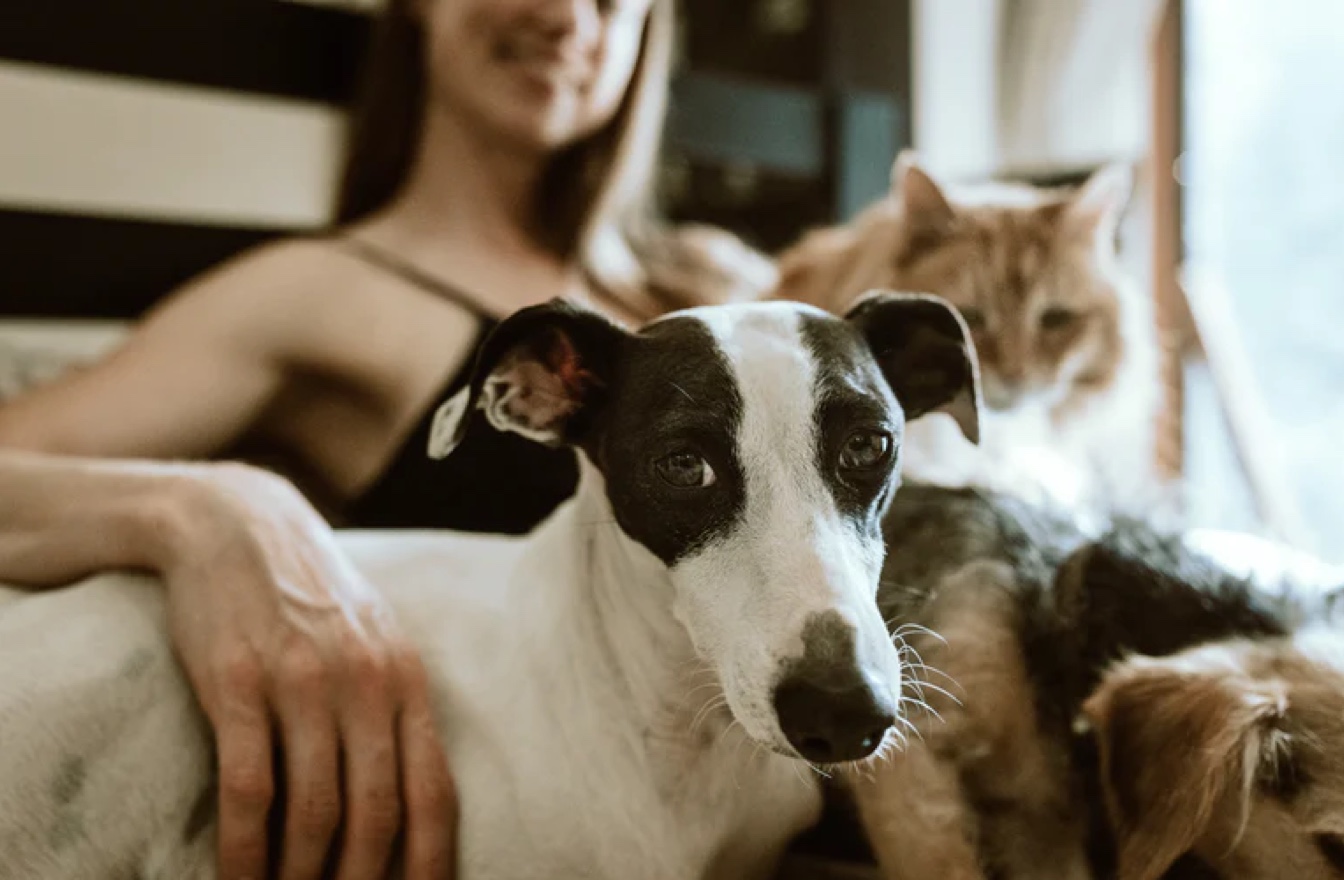 Our People slide image